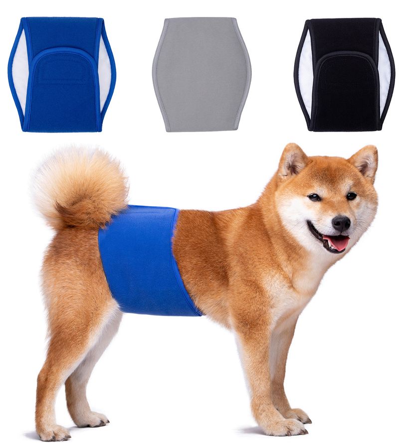 Pet physiological with male dog courtesy with dog physiological with pet diaper leak-proof diaper factory outlet_voghion.com