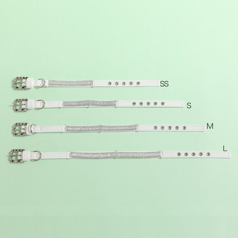 Pet supplies collar traction rope collar set cat necklace small and medium sized dog collar collar accessories_voghion.com