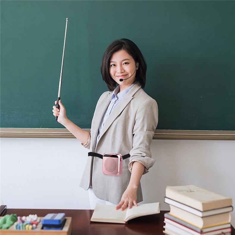S17 Loudspeaker Bee Teacher Practical Stall Wireless Loudspeaker Guide Hawking Portable Loudspeaker_voghion.com