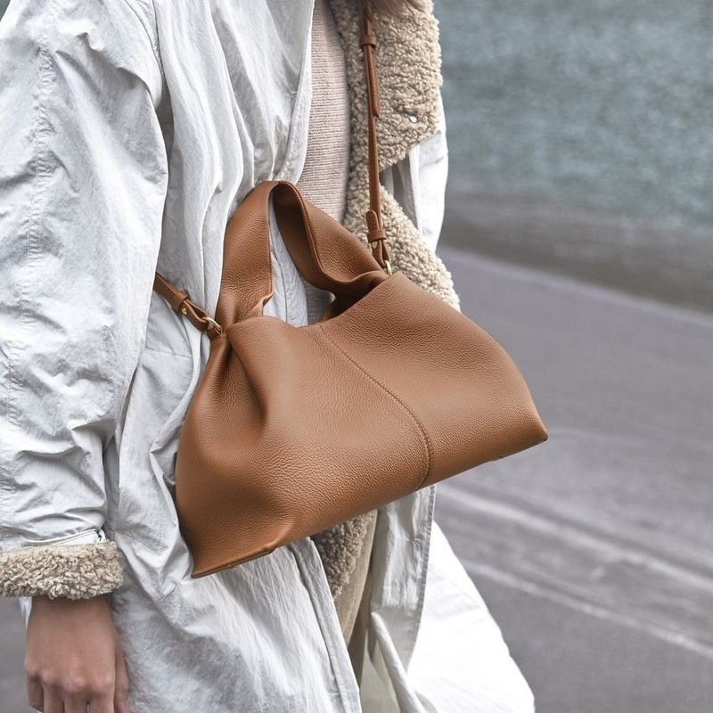 Cloud dumpling women's bag 2024 new popular portable lunch box bag French texture shoulder messenger bag_voghion.com