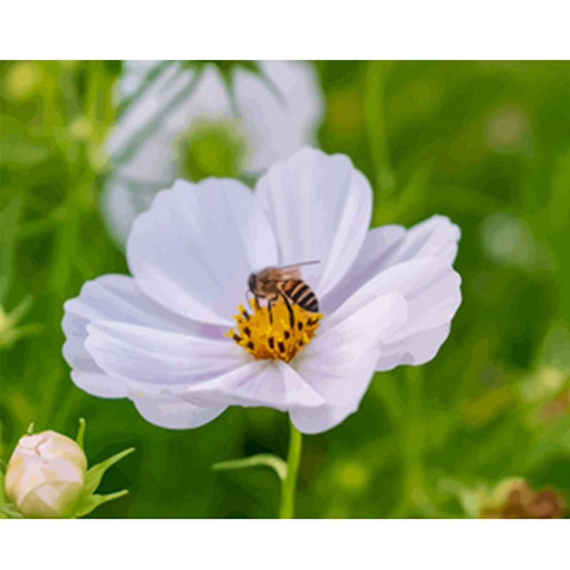 RUOPOTY Moderne maling efter numre Sæt Lærredsmaling Bier plukker blomster Stue dekoration gave_voghion.com