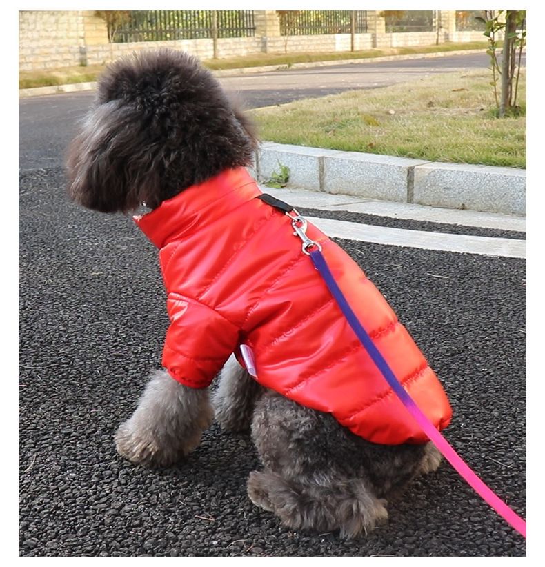 Einweg-Baumwoll-gepolsterte Kleidung Katze Herbst und Winter Hundekleidung Winterkleidung kleine Hunde Haustier Baumwolle gefütterte Jacke neue Baumwolle gefütterte Kleidung Winter_voghion.com