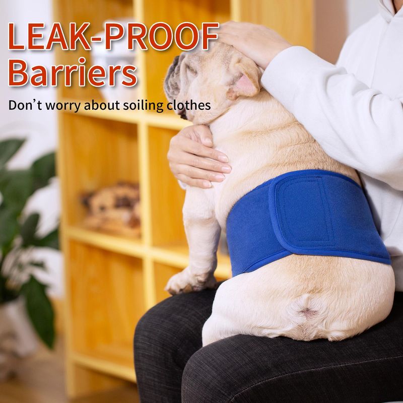 Courtesy Pants Männlich Spezielle Sanitär Gürtel Haustier Hund Auslaufsichere Windel Golden Retriever_voghion.com