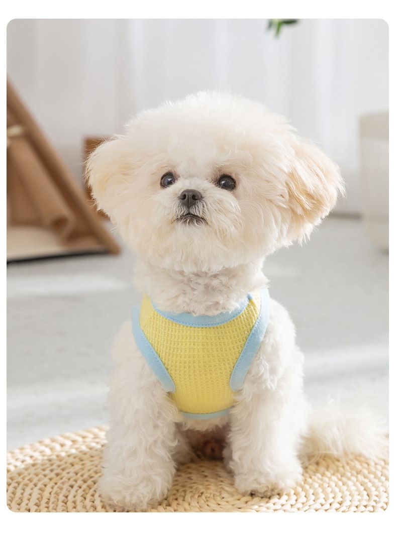 Xiaoqing, Novizio, Porta Tasca Tira Un Gilet. Cani di Piccola Taglia Gatti Escono Alla Moda E Indossano Vestiti Estivi Per Cani Domestici_voghion.com