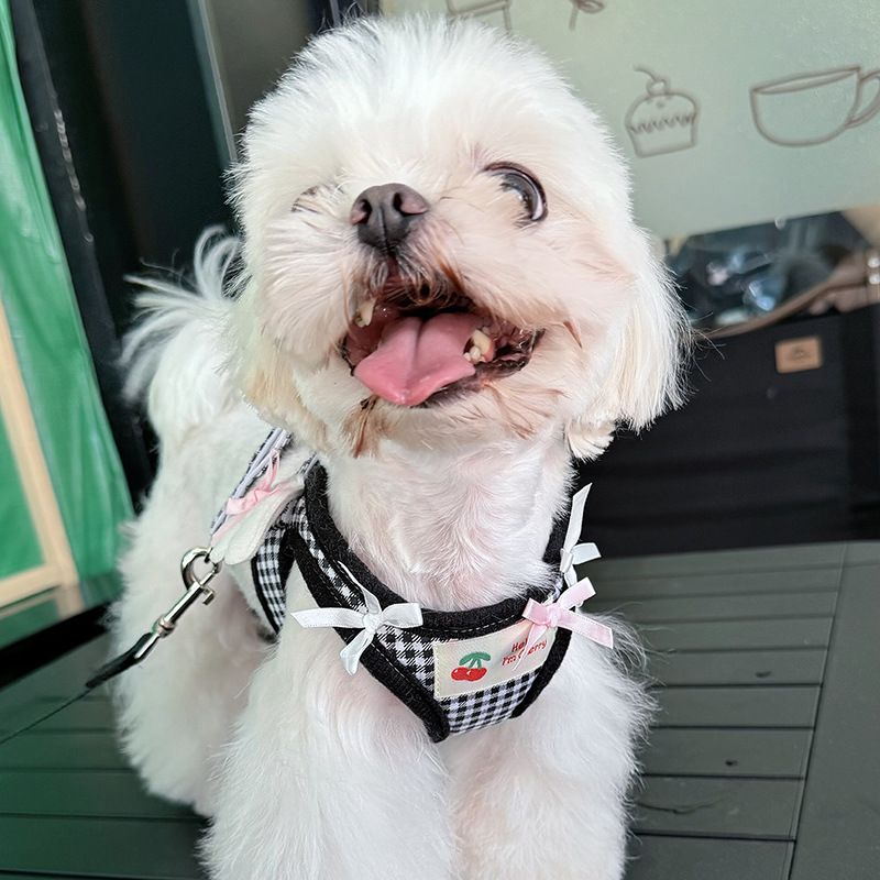 Heartwarming Original Pet Harness Leash For Dogs And Cats, Cross-border New Small Wings Set_voghion.com
