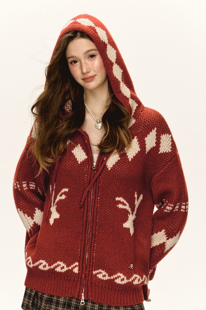 Ariseism American Style Loose Hooded Zipper Cardigan Sweater Jacket For Women Autumn New Top_voghion.com