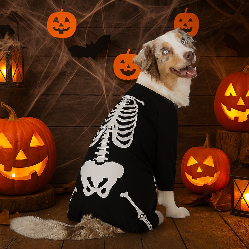 Halloween Neues Haustierkostüm Homewear Pyjamas Bärendruck Vierbeinige Hundekleidung_voghion.com
