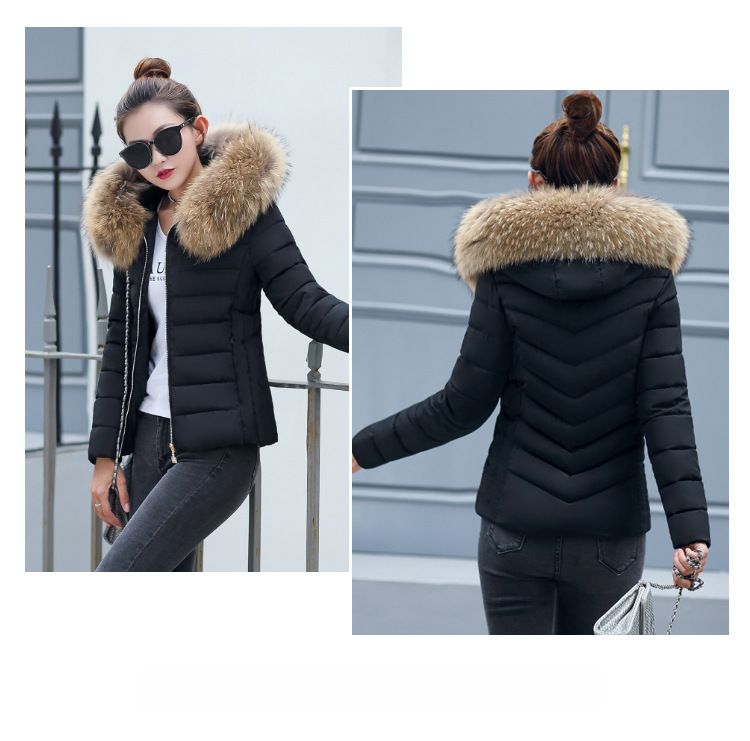 2023 Winter Neue kurze große Wollkragen Baumwolle gepolsterte Kleidung Damen koreanischen Stil Slim-Fit Abnehmen kleine Baumwolle gepolsterte Mantel warme Jacke Baumwolle gepolsterte Jacke_voghion.com