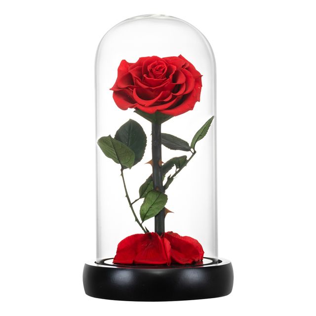 Eternal Rose Beauty and The Beast Preserved Rose Flower In Glass Dome LED Light Forever Gift for Valentine Mother Day Christmas_voghion.com