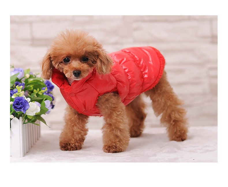 Warme Teddy-Haustierweste, verdickte Katzen-Herbst- und Winter-Hundekleidung_voghion.com