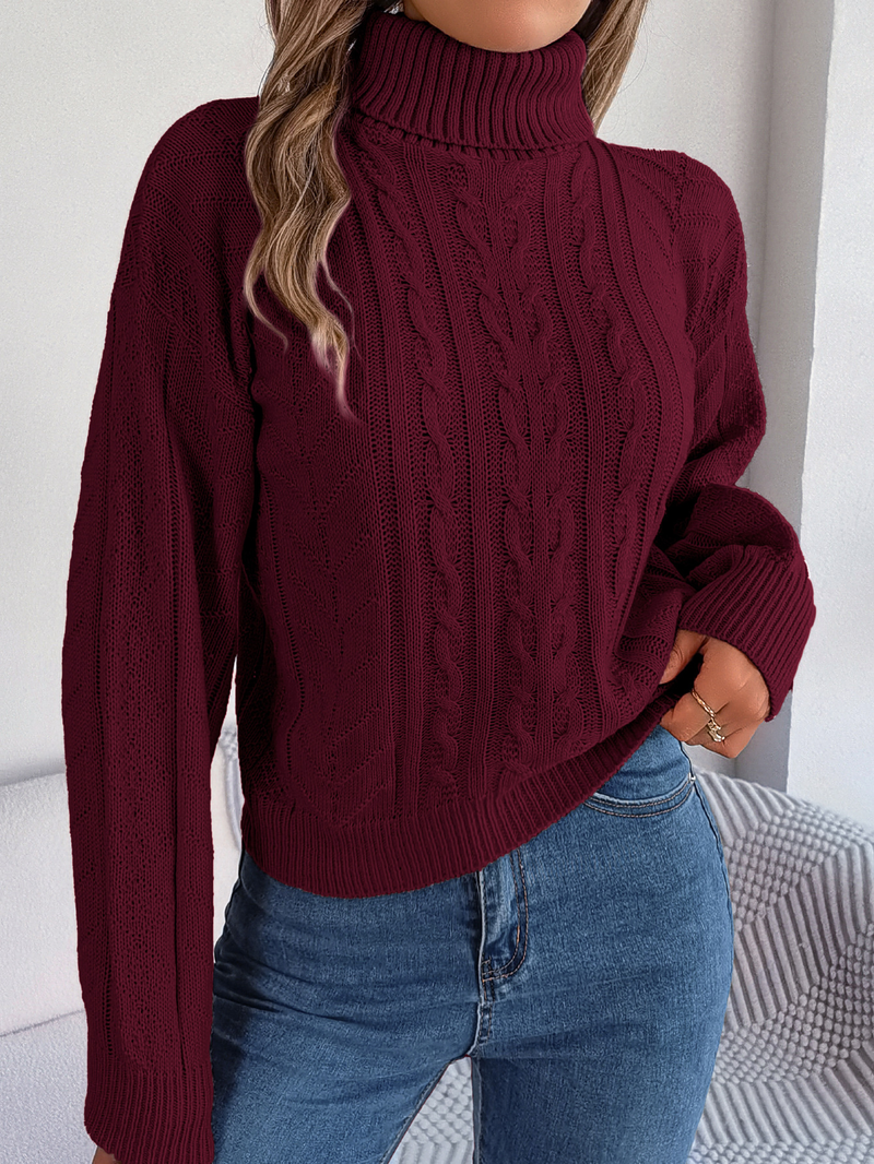 Maglione pullover a maniche lunghe in maglia a trecce con collo alto casual autunno inverno 2025 da donna_voghion.com