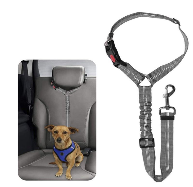 Liefert Haustier Auto Sicherheitsgurt einziehbare Leine Walking Dog Tether Seil_voghion.com