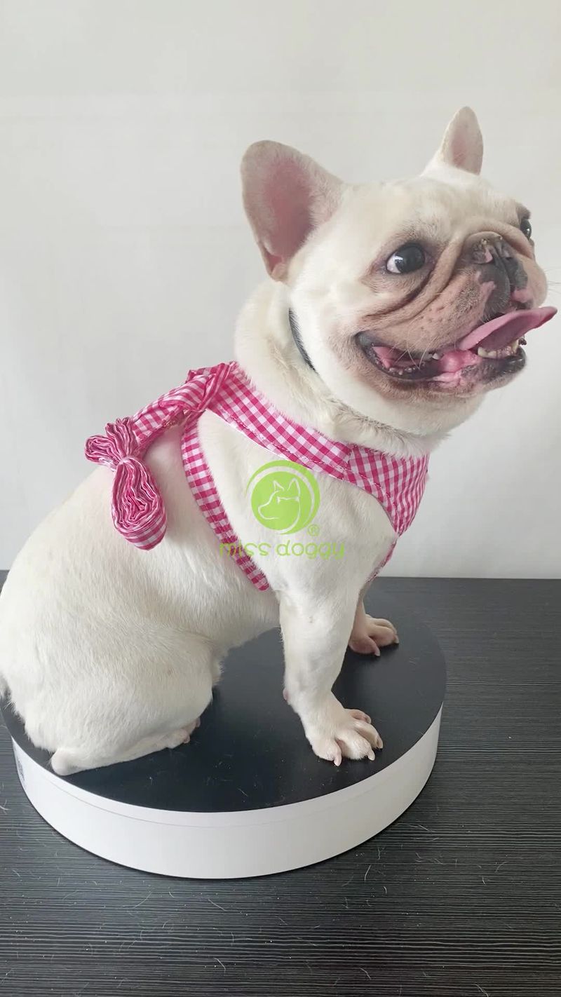 Adjustable And Leash Set, Mesh Harness For Puppies, Small Dog Clothes, Chihuahua Vest, Pet Clothes With D-Ring By PawParty Store_voghion.com