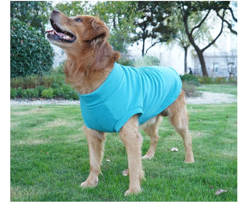Pet it solid color warm dog clothes winter pet sweater casual Bichon Corgi Shiba Inu Border Collie_voghion.com