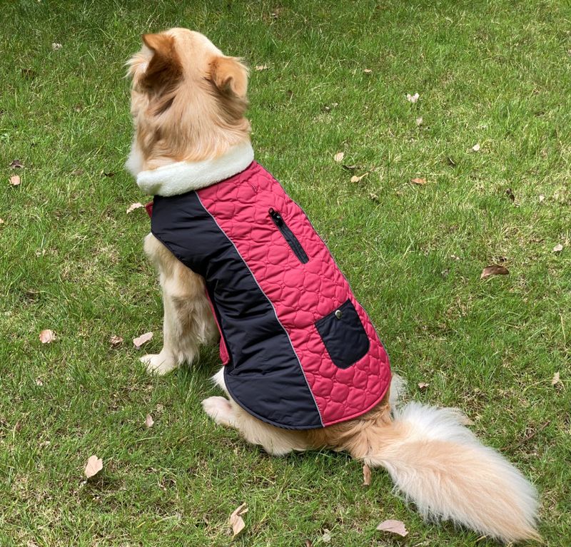 Pocket new pet clothes autumn and winter dog clothes vest cotton coat double sided wearable dog clothes coat clothing_voghion.com