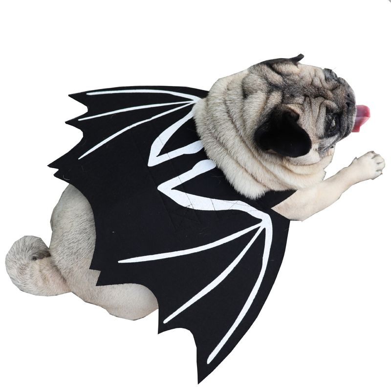 Costume di Halloween per la trasformazione di un cane o un gatto in un pipistrello, con ali creative e personalità eccentrica_voghion.com