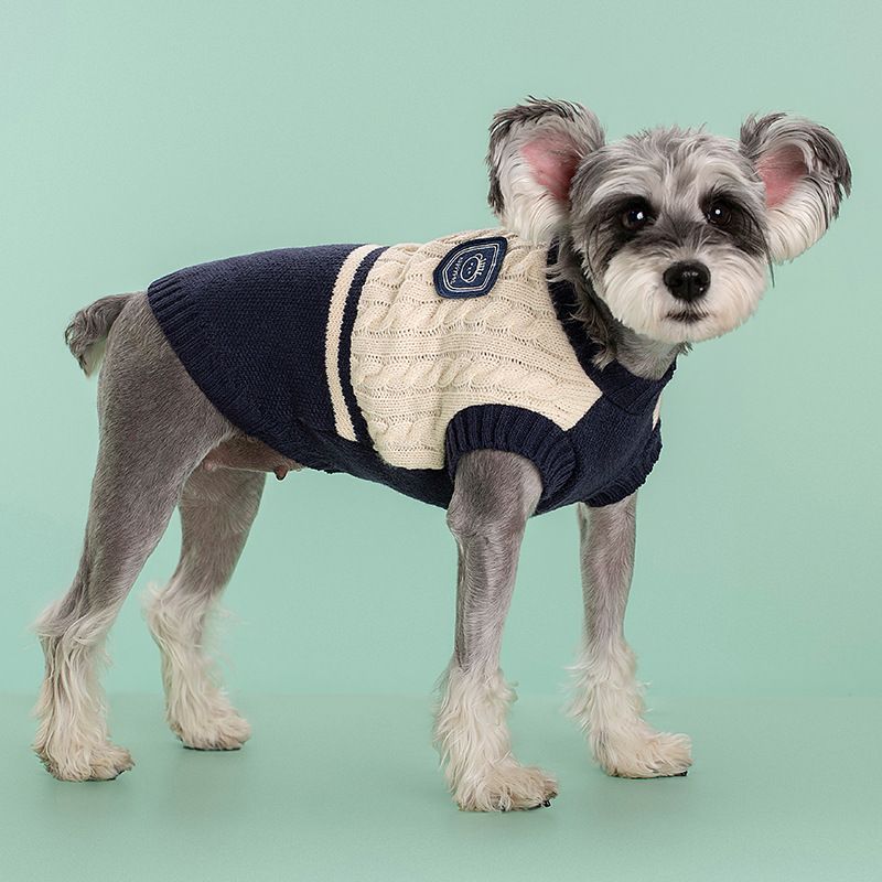 Vêtements pour animaux de compagnie style étudiant : chats, pull, vêtements chauds pour chiots, veste pour petits et moyens chiens, gilet pour chihuahua, boutique PawParty_voghion.com