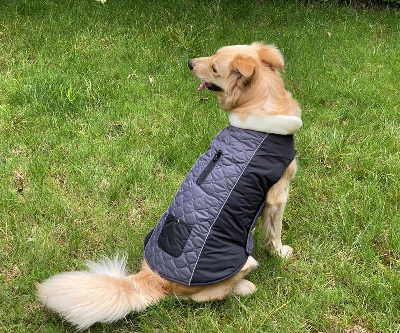 Pocket new pet clothes autumn and winter dog clothes vest cotton coat double sided wearable dog clothes coat clothing_voghion.com