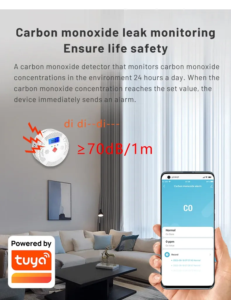 Détecteur de monoxyde de carbone Tuya Wifi avec écran LCD 70 dB Alarme sonore Capteur de gaz CO Équipement de protection de sécurité à domicile_voghion.com