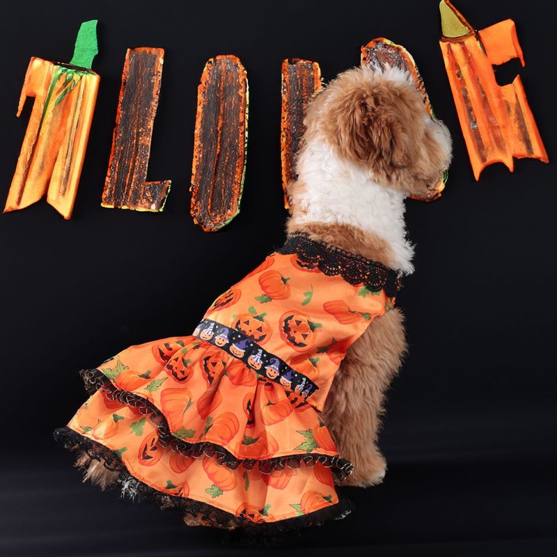 Neu Haustier Hund Kleidung Mittlere Und Kleine Hunde Halloween Kürbis_voghion.com