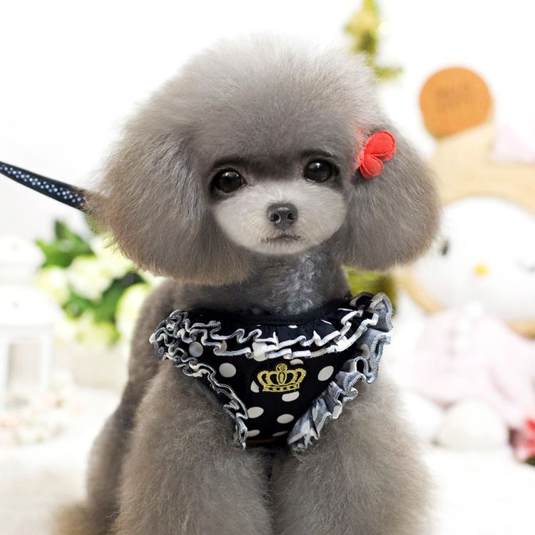 Puppy New Cat Vest-Style Pet Harness Leash_voghion.com