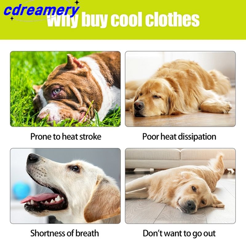 Summer Cooling Dog Vest, Breathable Mesh Jacket, Universal Outdoor Pet Cool Down Jacket For Dogs, Adjustable Cold Coat For Dogs_voghion.com