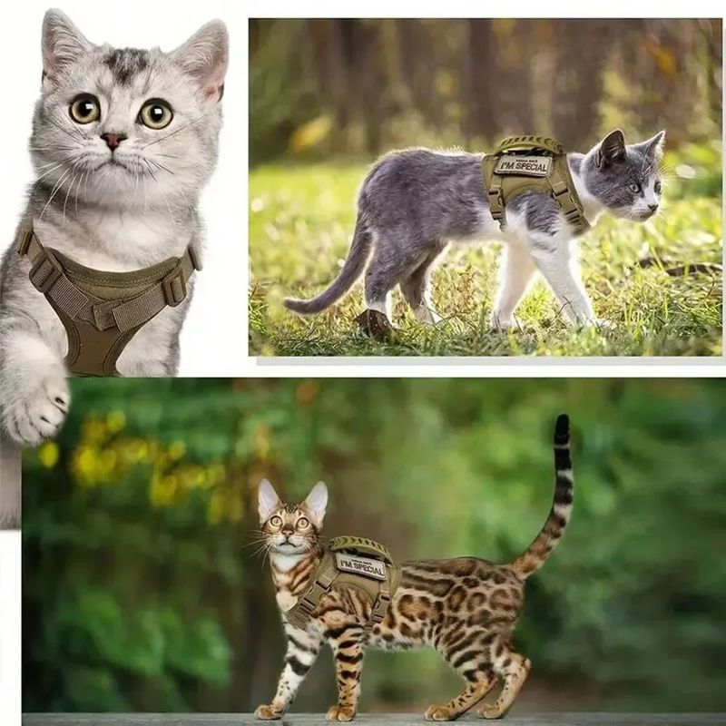 Katzenzubehör, Haustiere, Tierprodukte, Halsbänder, Kätzchen, Brustgurte, Geschirre, Leinen, Zubehör für Katzen, Zuhause_voghion.com