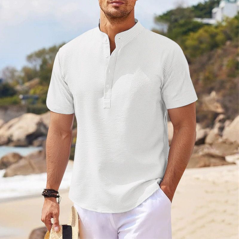 2025 Kurzarm-Stehkragen Button-Up Ananas-Check Herren Casual Shirt Top_voghion.com