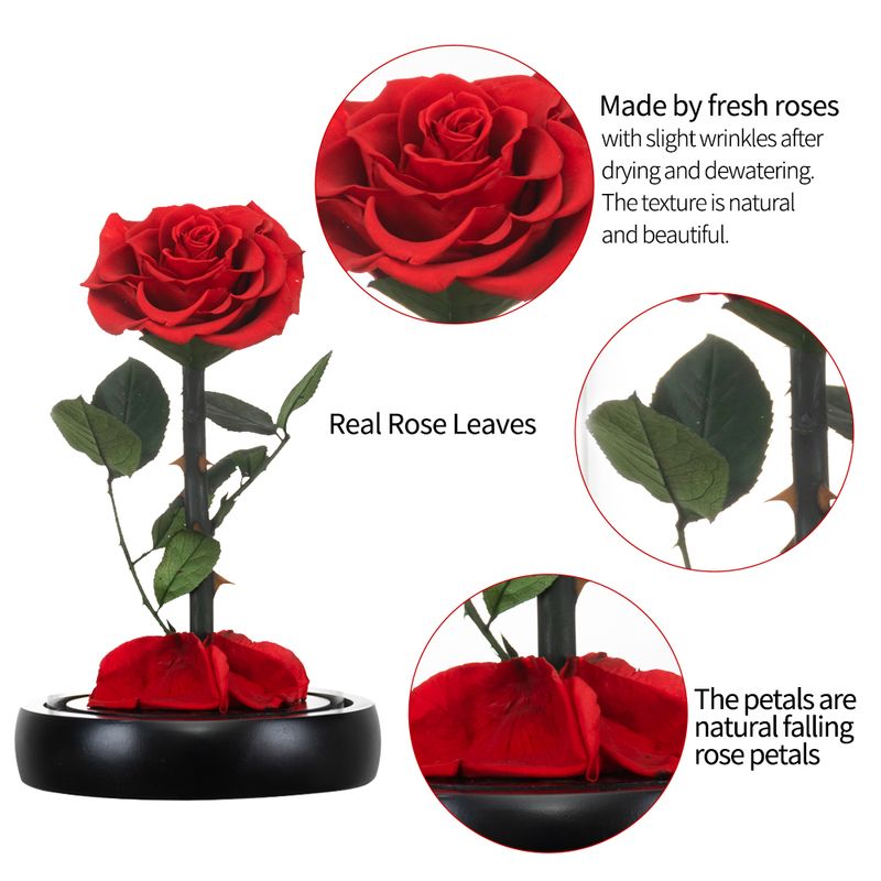 Eternal Rose Beauty and The Beast Preserved Rose Flower In Glass Dome LED Light Forever Gift for Valentine Mother Day Christmas_voghion.com