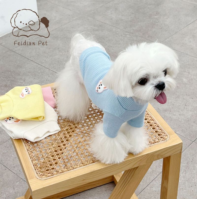 Boiling Point Pet 22 Autunno Inverno Coniglio Waffle Base Maglietta Tazza da Tè Cucciolo Piccolo Cane Gatto Girocollo Manica Lunga Abbigliamento_voghion.com