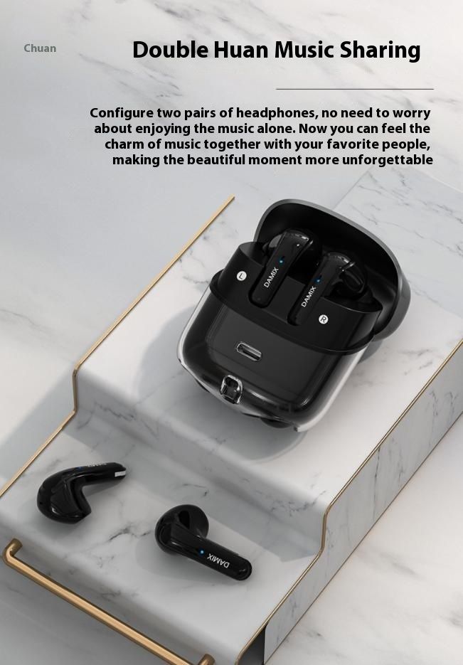 DX16 Couple Wireless Bluetooth Earphones With 2 Pairs Of Earphones Backpack Appearance, Battery Display, HIFI Sound Quality TWS_voghion.com