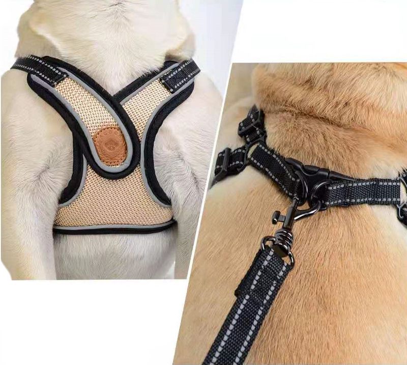 Pet Chest Harness Leash Set Walking Rope Cat Chain Dog Anti-Pull Adjustable_voghion.com