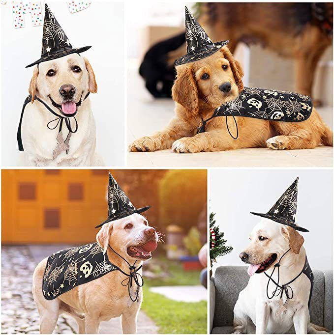 Set di 2 pezzi con mantello da vampiro e cappello stampato per Halloween per cani e animali domestici_voghion.com