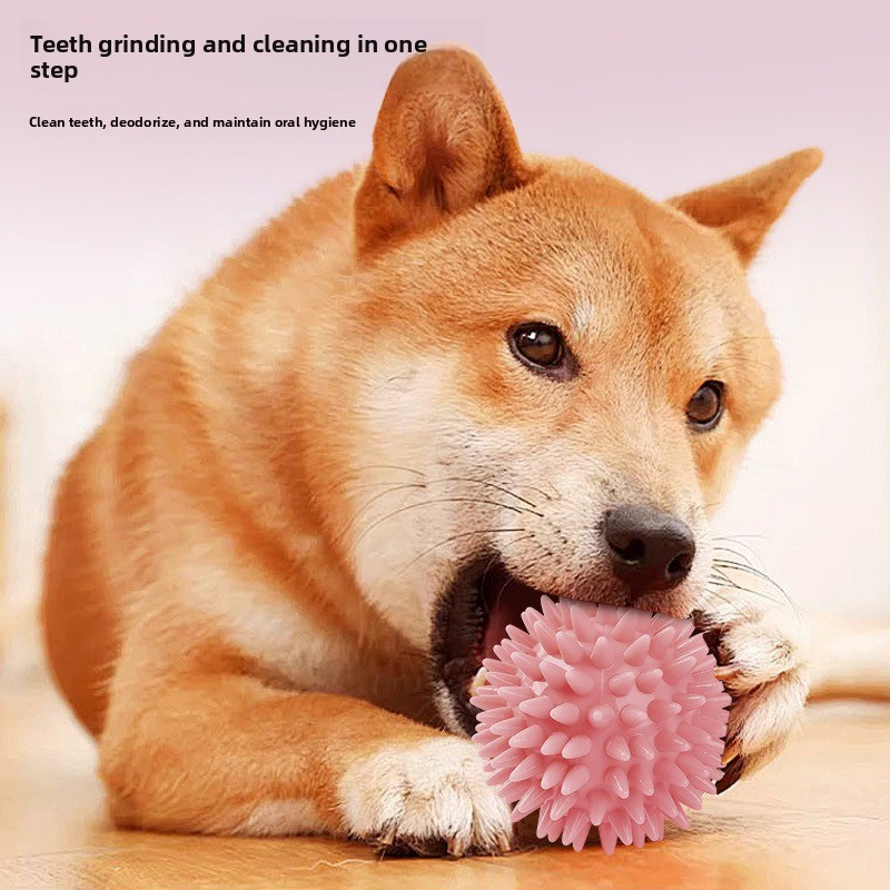 Macaron - Colored Bite - Resistant TPR Squeaky Toy For Pets_voghion.com