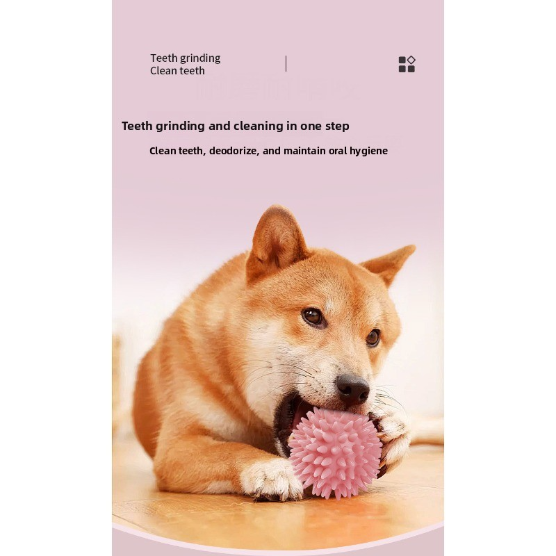 Macaron - Colored Bite - Resistant TPR Squeaky Toy For Pets_voghion.com