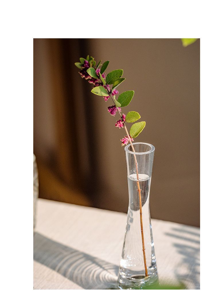 【 46000 People Collected 】 Juhan Nordic Ins High Beauty Arrangement Water Nourishing Small Vase Glass Transparent_voghion.com