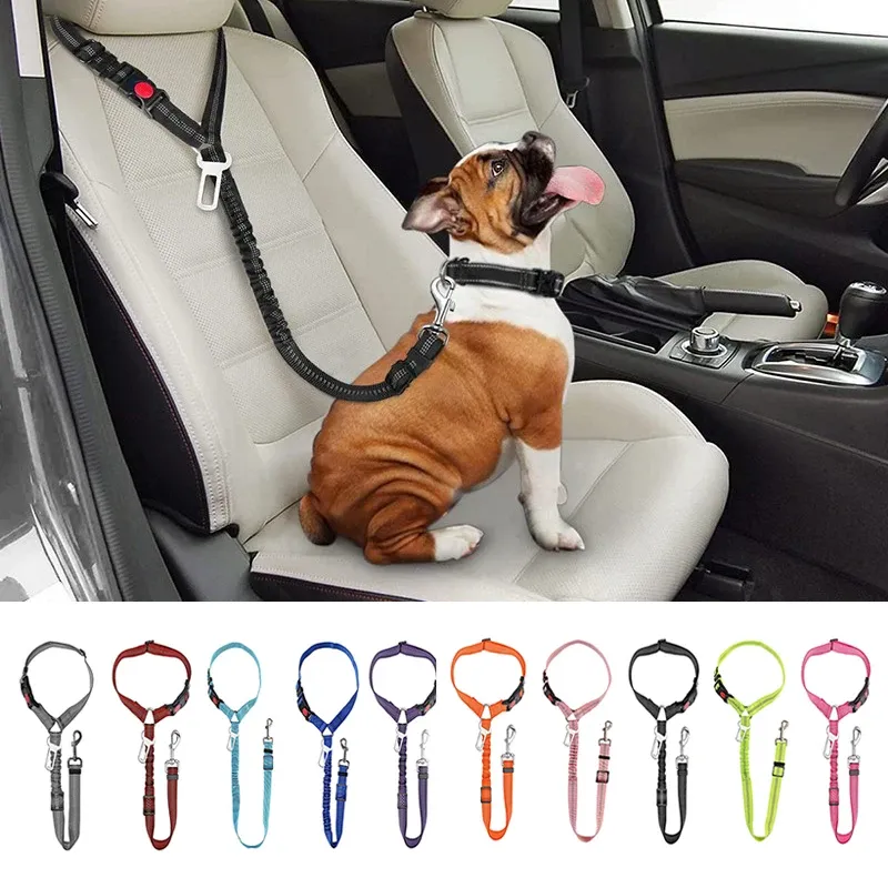 Laisse rigide et résistante aux chocs « deux en un », ceinture de sécurité pour animaux avec clip, ceinture de sécurité pour siège arrière, collier pour chaton, Pet By PawParty Store_voghion.com