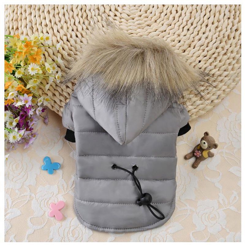 Pet Clothing Witch Coat Jackets Small Dogs Soft Down Coats For Cats And Puppies On Cold Days By PawParty Store_voghion.com