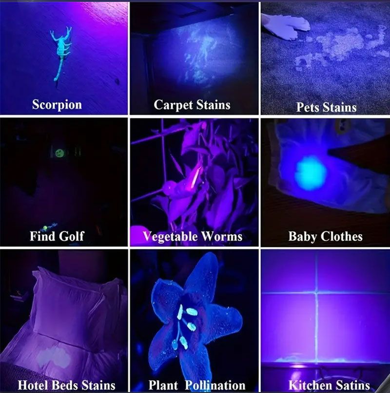 Uus UV365 must peegellilla lamp lemmiklooma tuvastamiseks, pangatähtede kontrollimiseks, võltsimisvastaseks, suure võimsusega ultraviolettkiirguseks_voghion.com