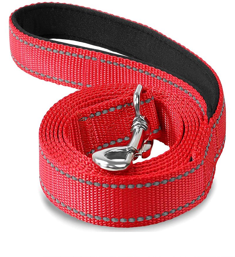 Guinzaglio per animali domestici in nylon riflettente, tessuto in seta, cintura con corda per addestramento, collare a catena, anello per collo per cani_voghion.com