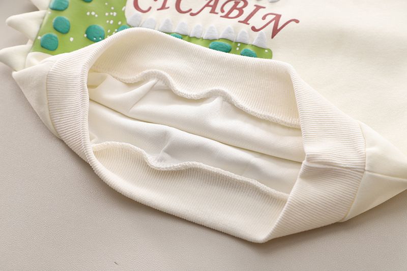 Maniche lunghe per ragazzi 2024 Nuovo stile per bambini, primavera e autunno, moda, cartone animato, dinosauro, felpa con cappuccio, set da due pezzi_voghion.com
