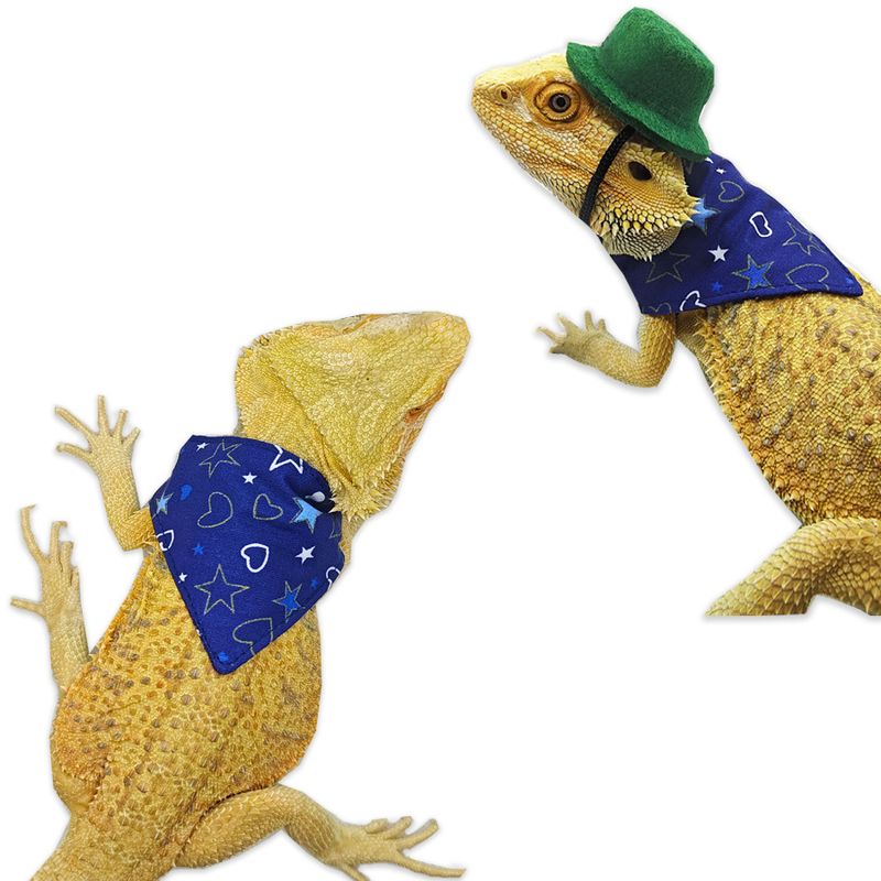 Lizard Hamster Triangle Drool Scarf Halloween Costume Small Pet Top Hat_voghion.com