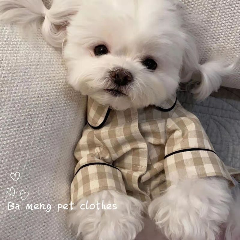 Koreanischer Stil Haustier Welpen Kätzchen Hund Pyjamas Teddy Bichon Schnauzer Pommerschen Chihuahua Kleidung Frühling Sommer Outfit_voghion.com