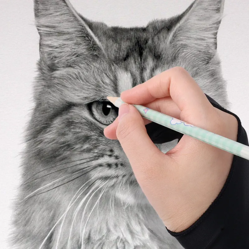 Guanti anti-touch a due dita per tablet, schermo digitale, disegno, pittura a olio, forniture artistiche_voghion.com