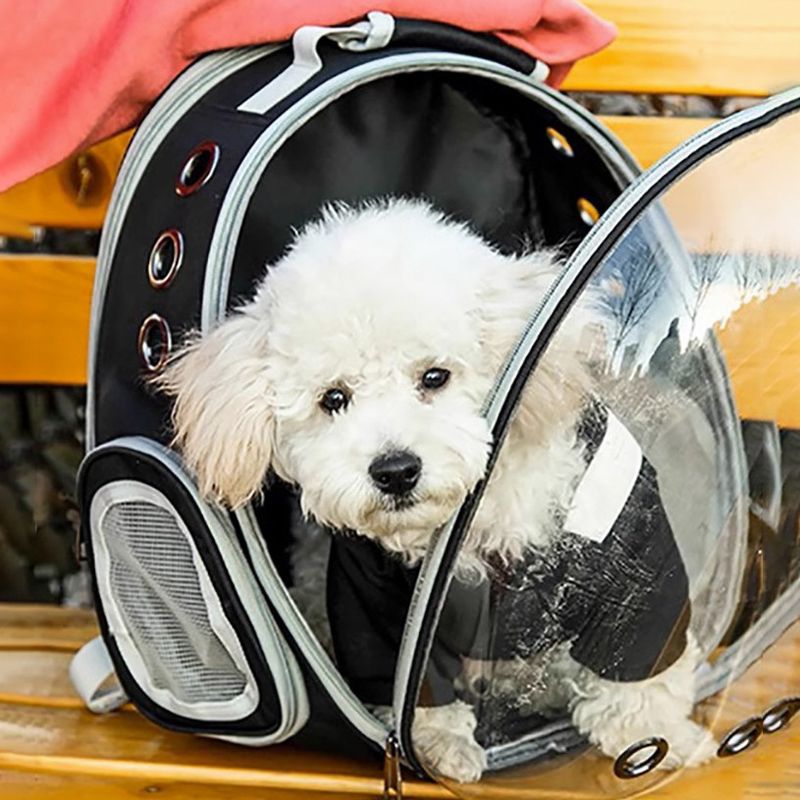 Haustierträger Transparentes Schiebedach Tragbare Weltraumkapsel für den Außenbereich Katzenbedarf Atmungsaktiver Rucksack mit großer Kapazität_voghion.com