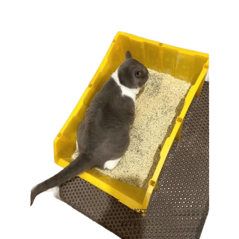 Bac à litière extra-large pour chat Maine Coon, grand récipient, entièrement ouvert, géant, par défaut_voghion.com