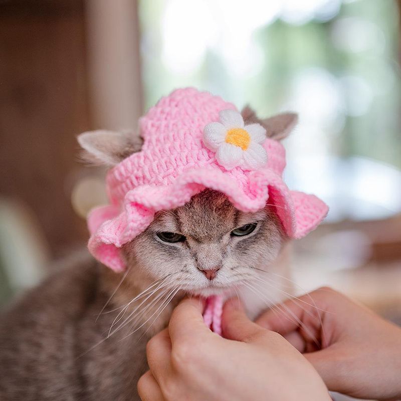 Elástico feito à mão para gatos, chapéu com gatinho, chapéu de malha, acessórios para sessão de fotos noturna, decorações, acessórios para gatos da PawParty Store_voghion.com