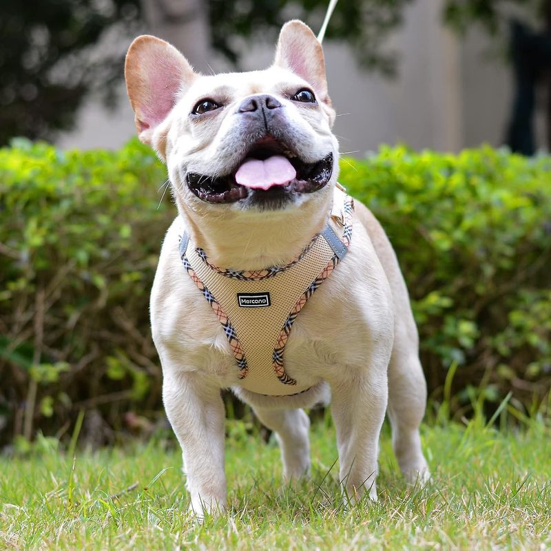 SQCLV Soft Mesh Dog Harness And Leash Set, No-Chock Step-in Reflective Breathable Lightweight Easy Walk Escape Proof Vest Harnesses With Safety Buckle_voghion.com