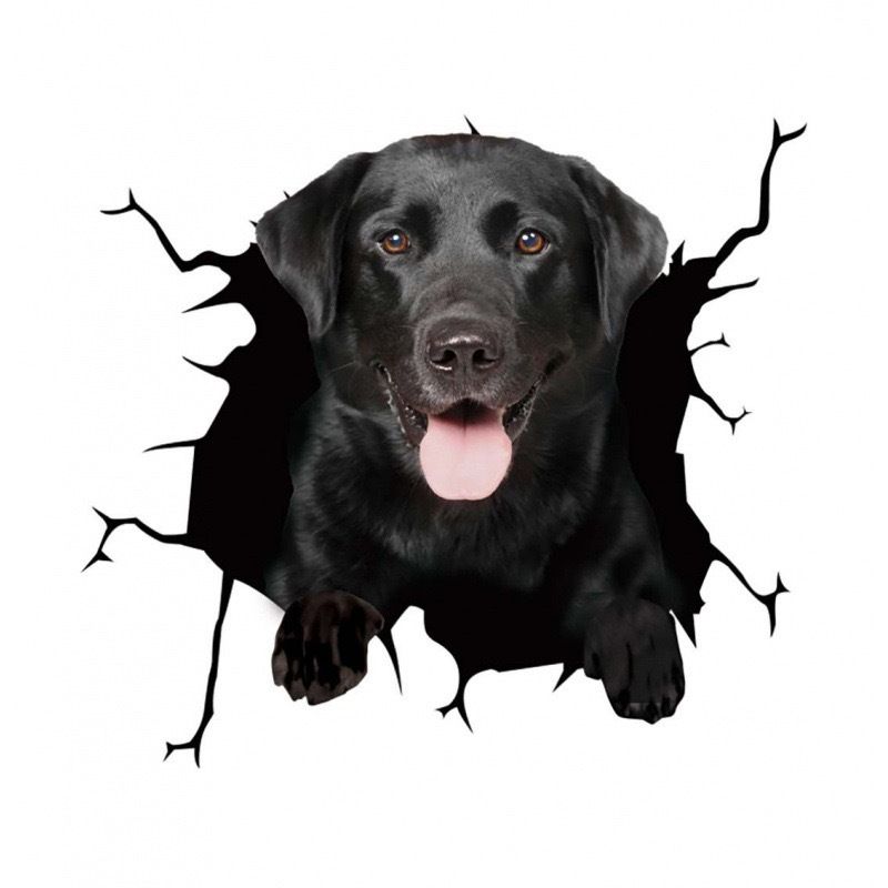 Creative cracked animal wall perforated car personalized glass stickers, dog stickers_voghion.com