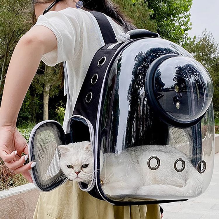 Haustierträger Transparentes Schiebedach Tragbare Weltraumkapsel für den Außenbereich Katzenbedarf Atmungsaktiver Rucksack mit großer Kapazität_voghion.com